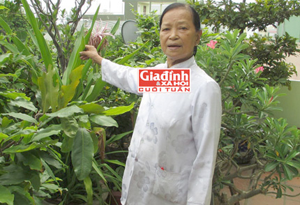 luong-y-nguye-thi-que-gia-dinh-viet