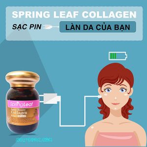 vien-uong-collagen-6-in-1-spring-leaf-inner-beauty-cua-uc8
